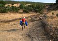 Στα όρια τα ηλεκτρικά δίκτυα σε Ελλάδα και Τυνησία λόγω καύσωνα