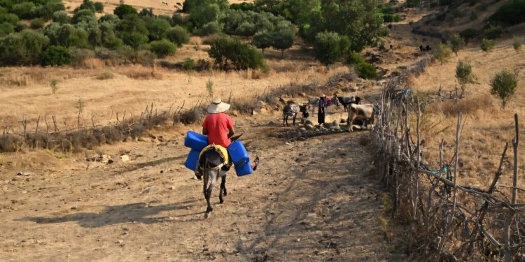 Στα όρια τα ηλεκτρικά δίκτυα σε Ελλάδα και Τυνησία λόγω καύσωνα