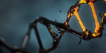 Νέο μοτίβο μεταλλάξεων DNA εντοπίστηκε στον καρκίνο παχέος εντέρου