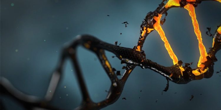 Νέο μοτίβο μεταλλάξεων DNA εντοπίστηκε στον καρκίνο παχέος εντέρου